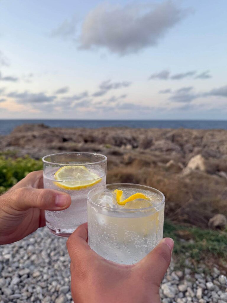 Gintonics con amigos