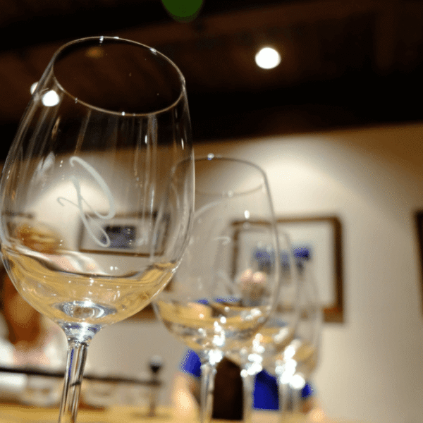 Catas-de-vinos-1024x676