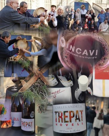 INCAVI Vi novell