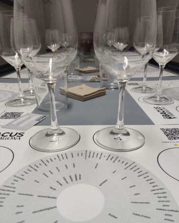 Experiencia sensorial vinícola