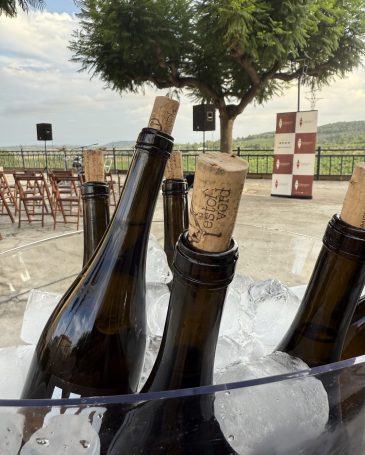 Taller vinos maridado con música