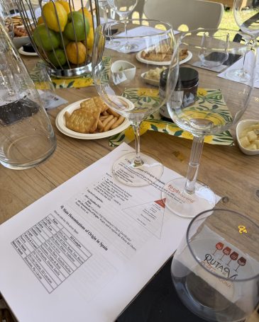 Cata vinos en inglés