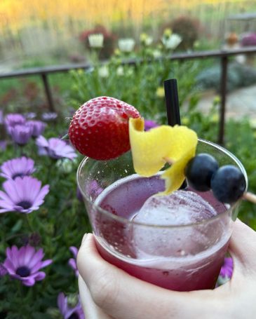 cocktail frutas