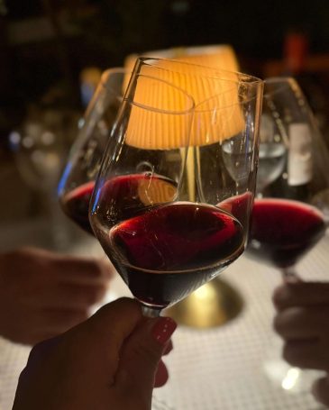 Copas de vinos con amigos