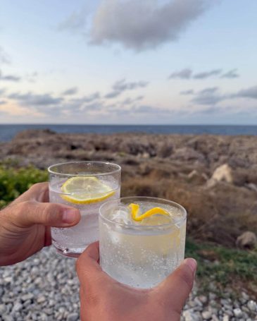 Gintonics con amigos